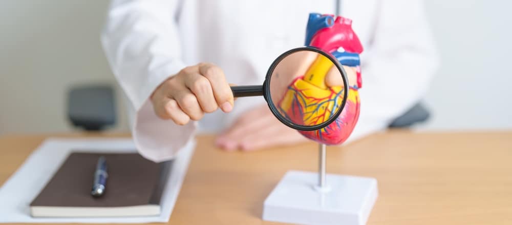 Doctor holds a magnifying glass over the blood vessels of a heart